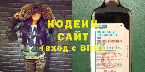 амф Гусиноозёрск