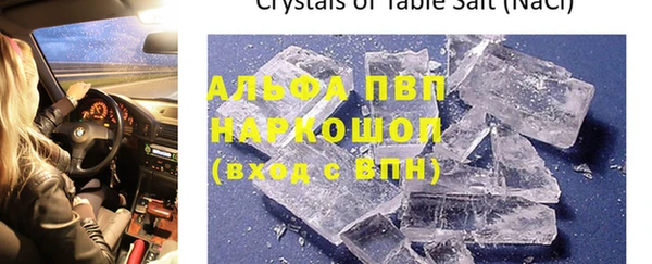 амф Гусиноозёрск