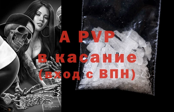 амф Гусиноозёрск