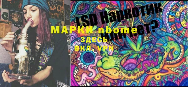 PSILOCYBIN Гусев