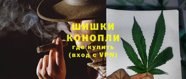 PSILOCYBIN Гусев