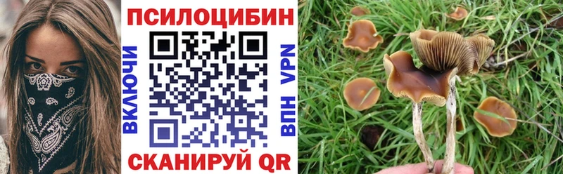 Галлюциногенные грибы MAGIC MUSHROOMS Назрань